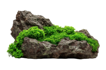 Artificial Mossy Rock Feature on Transparent Background