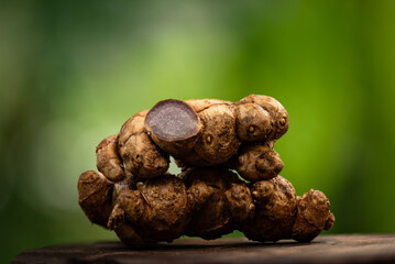 Black galingale or Kaempferia parviflora rhizomes on natural background.
