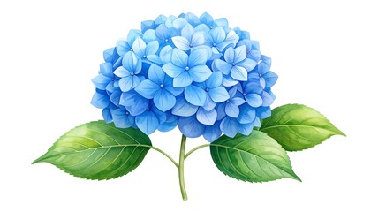Detailed illustration of a vibrant blue hydrangea (1)