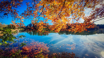 Peaceful mesmerizing atmosphere at a lake with colorful autumn tree leaeves, blue sky and forest at sunny day
