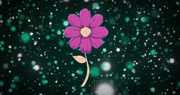Animation starting pink daisy-like flower appearing center, oscillating stem leaf for cosmic loop