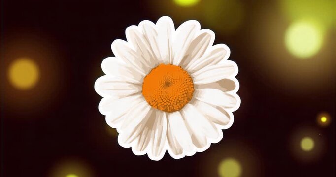 On loop start stylized daisy causing pulsing petals and shifting bokeh lights for seamless looping