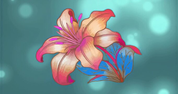 Starting loop flat peach flower staying centered as bokeh orbs fading, drifting showing vivid glow