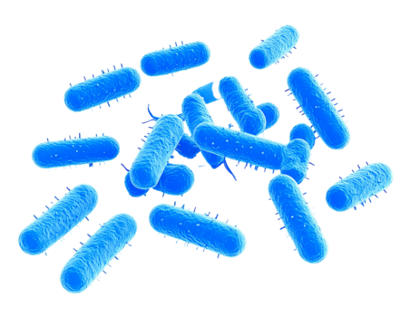 Microscopic view of blue rod-shaped bacteria with flagella, a visual representation of microbiology. - Powered by Adobe