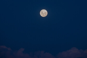 luna