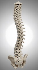 3d rendered illustration of a painful neck