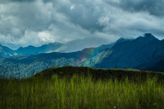 East Nimba Nature Reserve Liberia