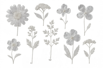 Delicate white embroidered wildflowers displaying intricate botanical details, floating on transparent background with elegant, soft aesthetic