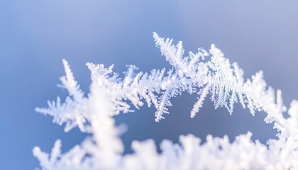 Delicate Ice Crystals Macro Photography: Blue and White Winter Frost Filigree