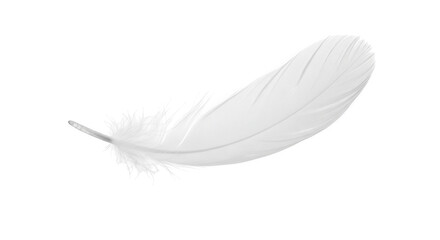 Obraz premium Isolated white feather on black background for design element and creative projects and art projects on transparent background