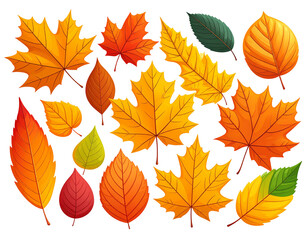 Colorful autumn leaves in a flat lay composition against a black background, for design