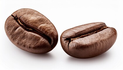 close up of two coffee beans on white background