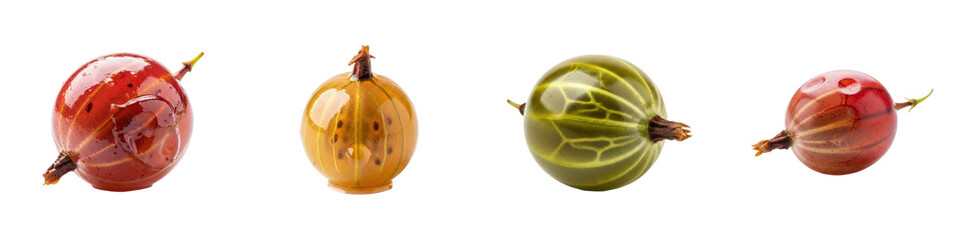 Gooseberries in vibrant shades of red, green, and yellow. Fresh, ripe, fruit, food, healthy eating, nature, juicy, organic, berry, sweet.