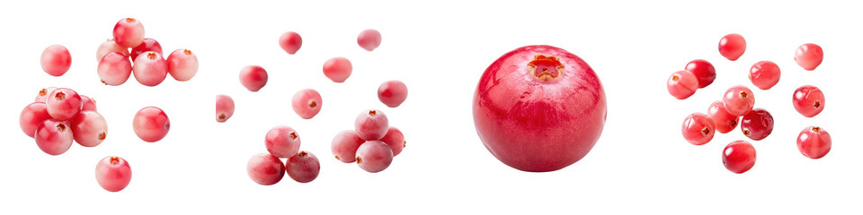 Fototapeta premium Cranberries shown as small clusters and single berry. Fresh fruit, seasonal harvest, autumn berry, antioxidant, vibrant, healthy eating.