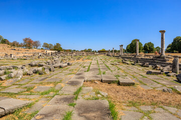 A stone walkway with a few trees in the background. Ruins of the ancient city of Philippi, Greece