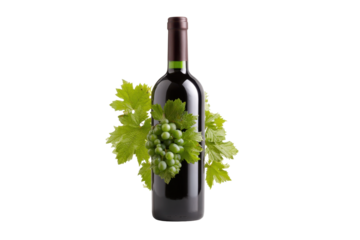 Wine Bottle with Green Grapes and Vines on Transparent Background