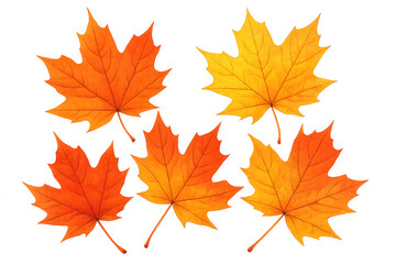 Fototapeta premium Five colorful maple leaves falling on a transparent background, creating a vibrant autumnal scene