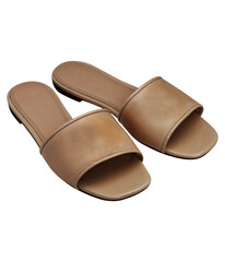 Image of a shoes for fashion on transparent background