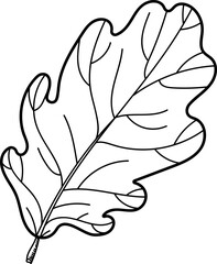 Detailed Oak Leaf Line Sketch