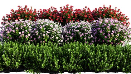 Colorful flowerbeds in a row