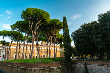 Fototapeta premium Vatican Gardens: Majestic Trees and Historic Architecture