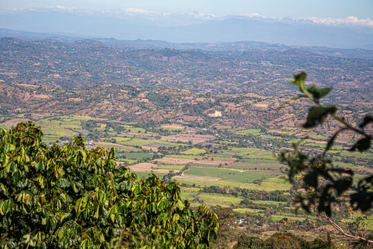 Las parcelas son visibles desde las alturas
