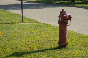 fire hydrant on the grass