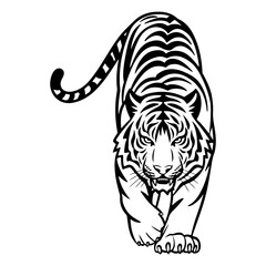 Black and white graphic illustration of a tiger walking forward.