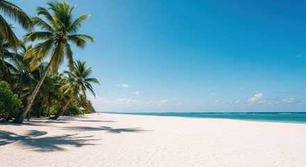 Tropical beach scene with palm trees (19)