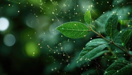 Lush green leaves overlaid with a network of glowing nodes and lines, suggesting technological integration with nature
