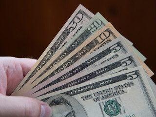 Cash in Hand: A Collection of U.S. Dollar Bills