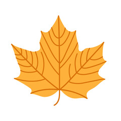 Obraz premium Simple illustration of a maple leaf in orange color. Isolated on a white background. Symbolizing autumn, nature and seasonal foliage design. Flat vector. Hand drawn.