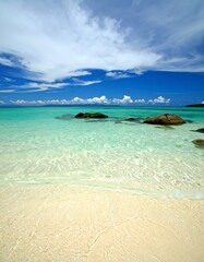 Tranquil beach scene