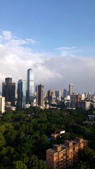 Fototapeta premium Cityscape view with trees and buildings