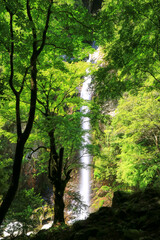 三重県大台町六十尋滝