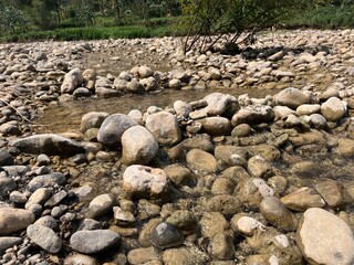 Natural stream bed filled with rounded river stones and shallow water with vegetation in the...