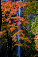 三重県大台町六十尋滝