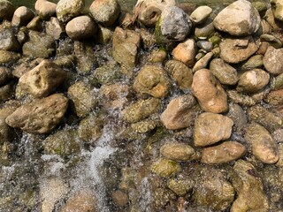 A close-up view of a textured stone wall with water flowing over it, showcasing natural elements...