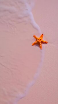 Orange Starfish on Pink Sand Beach with Turquoise Sea Water Gentle Waves and Bright Sunlight Creating a Serene Tropical Coastal Scene
