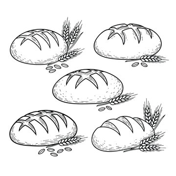A handdrawn set of five round bread loaves with wheat ears in a black and white sketch style.