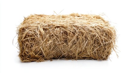 A rectangular bale of straw with a white background.