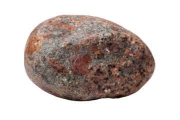 Single Pet Rock on Transparent Background ? Novelty Stone