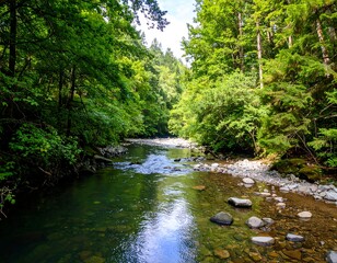 Tranquil mountain stream