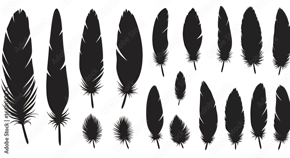 Poster a collection of vector illustrations showcases diverse bird feathers in silhouette, offering a versa
