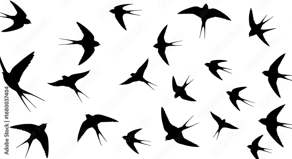 Poster a collection of vector silhouettes featuring swallows in various stages of flight, perfect for desig