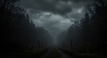 Fototapeta premium Foggy Haunted Forest Path