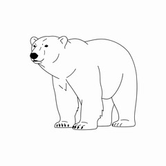 Fototapeta premium Line Art Illustration of a Standing Polar Bear