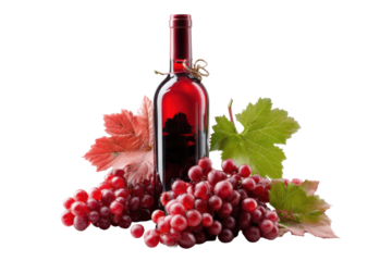 Red Wine Bottle with Red Grapes on Transparent Background
