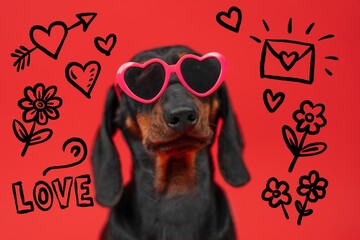 Cute dog wearing heart-shaped sunglasses surrounded by love symbols, flowers, and a vibrant red background, perfect for valentine's day or romantic themes.