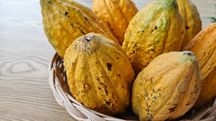 Close up Ripe yellow cocoa pod in a basket